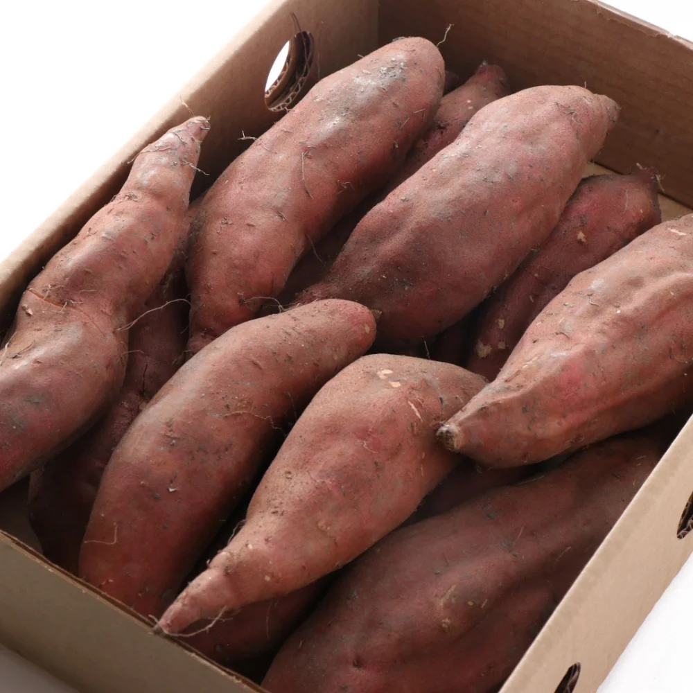 Egyptian sweet potatoes in a harvest box