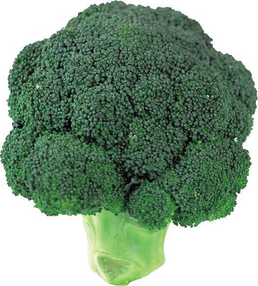 Fresh Egyptian broccoli head