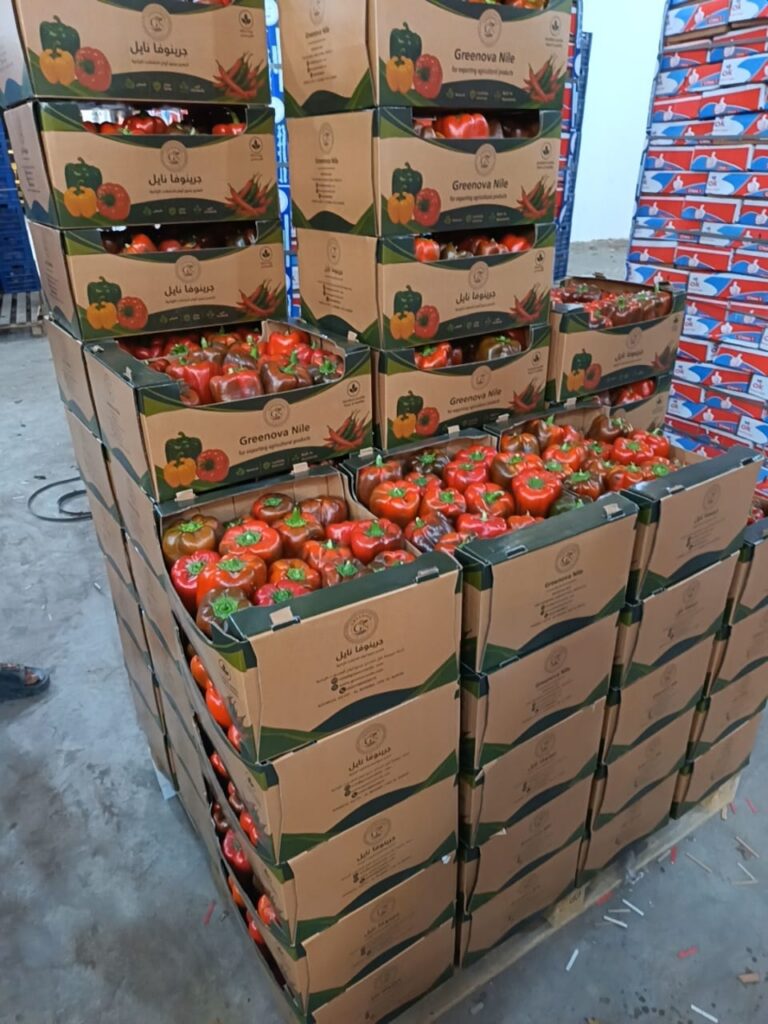 yellow & red bell peppers